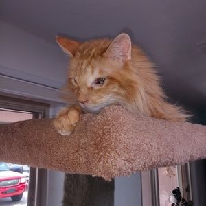 Meet your Posher, Maria